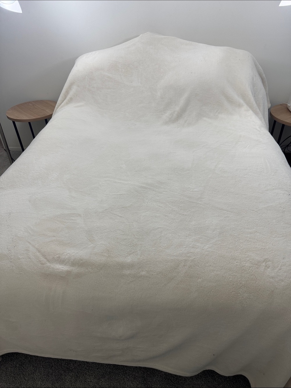 NWOT King Plush Blanket